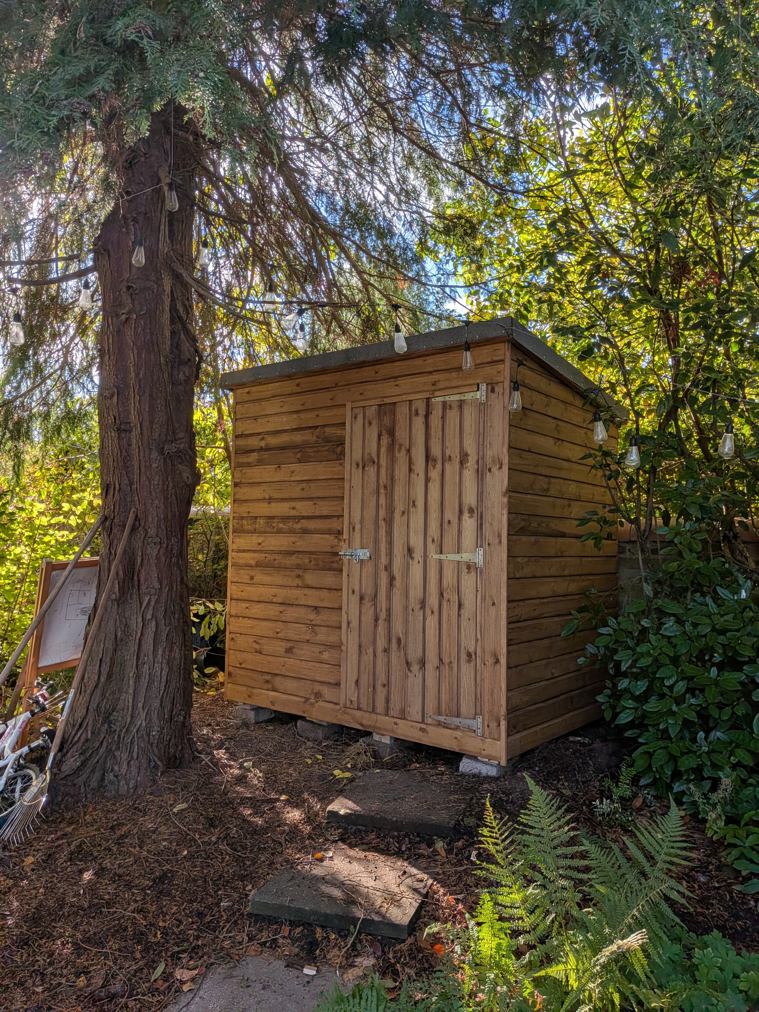 Timber garden shed nestled among trees